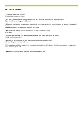 UNA ANÀLISI CIENTÍFICA


 31.Quina és la funcio de la closca?
Protegir les cries de dintre closca.

32.La closca està formada per un material coriaci dur,però és porosa.Quina funció té aquesta porositat?
B)Permetre l’intercanvide gasos amb l’exterior.

33.Els ocells coven els ous fins que neixen els pollets.Per contre ,els rèptils no els coven.Quina deu ser la causa d’aquesta dife-
rencia?
Que els rèptils la cria es desenvolupa al interior de la mare.

34.En el dibuix de dalt a la dreta es representa en ou.És d’un ocell o d’un rèptil?
D’un rèptil.

35.Quines caracteristiques d’un vertebrat pots reconèixer en la formació de la cria del dibuix?
Que ja te columna vertebral.

36.A l’interior de l’ou hi ha un sac amb vitel (substància nutritiva).Quina funció té?
Alimenta el rèptil perque sigui amb vida.

37.A mes del sac vitel.lí,dins dels ous hi ha un altre sac associat a l’embrió.Amb quina de les funcions seguents creus que pot
estar relacionat aquest sac?


38.Amb quina funció dels éssers vius están relacionats aquets dos sacs?
 