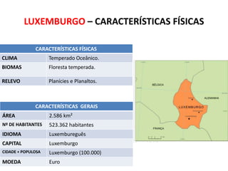 LUXEMBURGO – CARACTERÍSTICAS FÍSICAS
CARACTERÍSTICAS FÍSICAS
CLIMA

Temperado Oceânico.

BIOMAS

Floresta temperada.

RELEVO

Planícies e Planaltos.

CARACTERÍSTICAS GERAIS
ÁREA

2.586 km²

Nº DE HABITANTES

523.362 habitantes

IDIOMA

Luxembureguês

CAPITAL

Luxemburgo

CIDADE + POPULOSA

Luxemburgo (100.000)

MOEDA

Euro

SUBSTITUA ESTE RETÂNGULO PELO
MAPA POLÍTICO DO IBGE

 