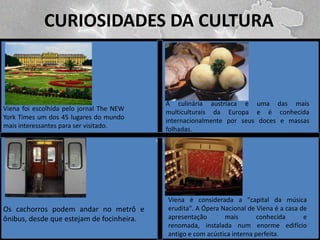 CURIOSIDADES DA CULTURA

A culinária austríaca é uma das mais
multiculturais da Europa e é conhecida
internacionalmente por seus doces e massas
folhadas.

Viena foi escolhida pelo jornal The NEW
York Times um dos 45 lugares do mundo
mais interessantes para ser visitado.

cn

Os cachorros podem andar no metrô e
ônibus, desde que estejam de focinheira.

Viena é considerada a "capital da música
erudita". A Ópera Nacional de Viena é a casa de
apresentação
mais
conhecida
e
renomada, instalada num enorme edifício
antigo e com acústica interna perfeita.

 