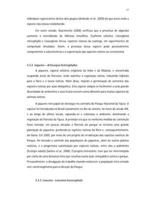 27


indivíduos regenerantes destes dois grupos (Andrade et al., 2008) do que áreas onde a
espécie não estava estabelecida.

       Em outro estudo, Nascimento (2008) verificou que a presença de algaroba
aumenta a mortalidade de Mimosa tenuiflora, Erythrina velutina, Caesalpinia
microphylla e Caesalpinia ferrea, espécies nativas da caatinga, em experimentos de
competição simulados. Assim, a presença dessa espécie pode possivelmente
comprometer a sobrevivência e a regeneração das espécies nativas no ecossistema.



4.3.2. Jaqueira – Artocarpus heterophyllus
       A jaqueira, espécie arbórea originária da Índia e da Malásia, é encontrada
ocupando áreas de florestas, onde substitui a vegetação nativa, reduzindo hábitats
para a flora e a fauna nativas. Além disso, impede a germinação de sementes das
espécies nativas por ação alelopática. Esta espécie adapta-se facilmente a uma grande
diversidade de ambientes e seus frutos servem como alimento para muitas espécies de
animais nativos.

       A jaqueira tem papel de destaque no contexto do Parque Nacional da Tijuca. A
espécie foi introduzida no Brasil exatamente no Rio de Janeiro, no início do século XIX,
e ao longo do último século, expandiu-se e colonizou o ambiente, dominando a
vegetação da Floresta da Tijuca. A previsão era que se nenhuma medida de contenção
fosse tomada, em poucas décadas a floresta do parque se tornaria uma grande
plantação de jaqueiras, perdendo-se espécies nativas da flora e, consequentemente,
da fauna. Em 2000, por meio de um projeto de erradicação das espécies exóticas do
Parque, foi iniciado o controle das populações de jaqueiras, além de outras plantas
exóticas, e a progressiva substituição por espécies nativas, entre elas o palmiteiro
(Euterpe edulis) (Santos et al., 2008). O projeto,entretanto, teve que ser interrompido
por conta de uma denúncia feita que resultou numa ação civil pública contra o parque.
Provavelmente, a divulgação do trabalho visando esclarecer a população teria evitado
este constrangimento para a direção do Parque.



       4.3.3. Leucena - Leucaena leucocephala
 
