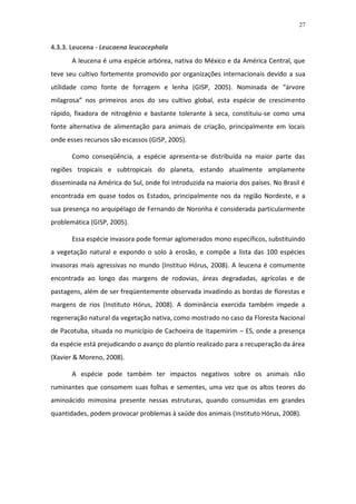 27


4.3.3. Leucena - Leucaena leucocephala
       A leucena é uma espécie arbórea, nativa do México e da América Central, que
teve seu cultivo fortemente promovido por organizações internacionais devido a sua
utilidade como fonte de forragem e lenha (GISP, 2005). Nominada de “árvore
milagrosa” nos primeiros anos do seu cultivo global, esta espécie de crescimento
rápido, fixadora de nitrogênio e bastante tolerante à seca, constituiu-se como uma
fonte alternativa de alimentação para animais de criação, principalmente em locais
onde esses recursos são escassos (GISP, 2005).

       Como conseqüência, a espécie apresenta-se distribuída na maior parte das
regiões tropicais e subtropicais do planeta, estando atualmente amplamente
disseminada na América do Sul, onde foi introduzida na maioria dos países. No Brasil é
encontrada em quase todos os Estados, principalmente nos da região Nordeste, e a
sua presença no arquipélago de Fernando de Noronha é considerada particularmente
problemática (GISP, 2005).

       Essa espécie invasora pode formar aglomerados mono específicos, substituindo
a vegetação natural e expondo o solo à erosão, e compõe a lista das 100 espécies
invasoras mais agressivas no mundo (Instituo Hórus, 2008). A leucena é comumente
encontrada ao longo das margens de rodovias, áreas degradadas, agrícolas e de
pastagens, além de ser freqüentemente observada invadindo as bordas de florestas e
margens de rios (Instituto Hórus, 2008). A dominância exercida também impede a
regeneração natural da vegetação nativa, como mostrado no caso da Floresta Nacional
de Pacotuba, situada no município de Cachoeira de Itapemirim – ES, onde a presença
da espécie está prejudicando o avanço do plantio realizado para a recuperação da área
(Xavier & Moreno, 2008).

       A espécie pode também ter impactos negativos sobre os animais não
ruminantes que consomem suas folhas e sementes, uma vez que os altos teores do
aminoácido mimosina presente nessas estruturas, quando consumidas em grandes
quantidades, podem provocar problemas à saúde dos animais (Instituto Hórus, 2008).
 
