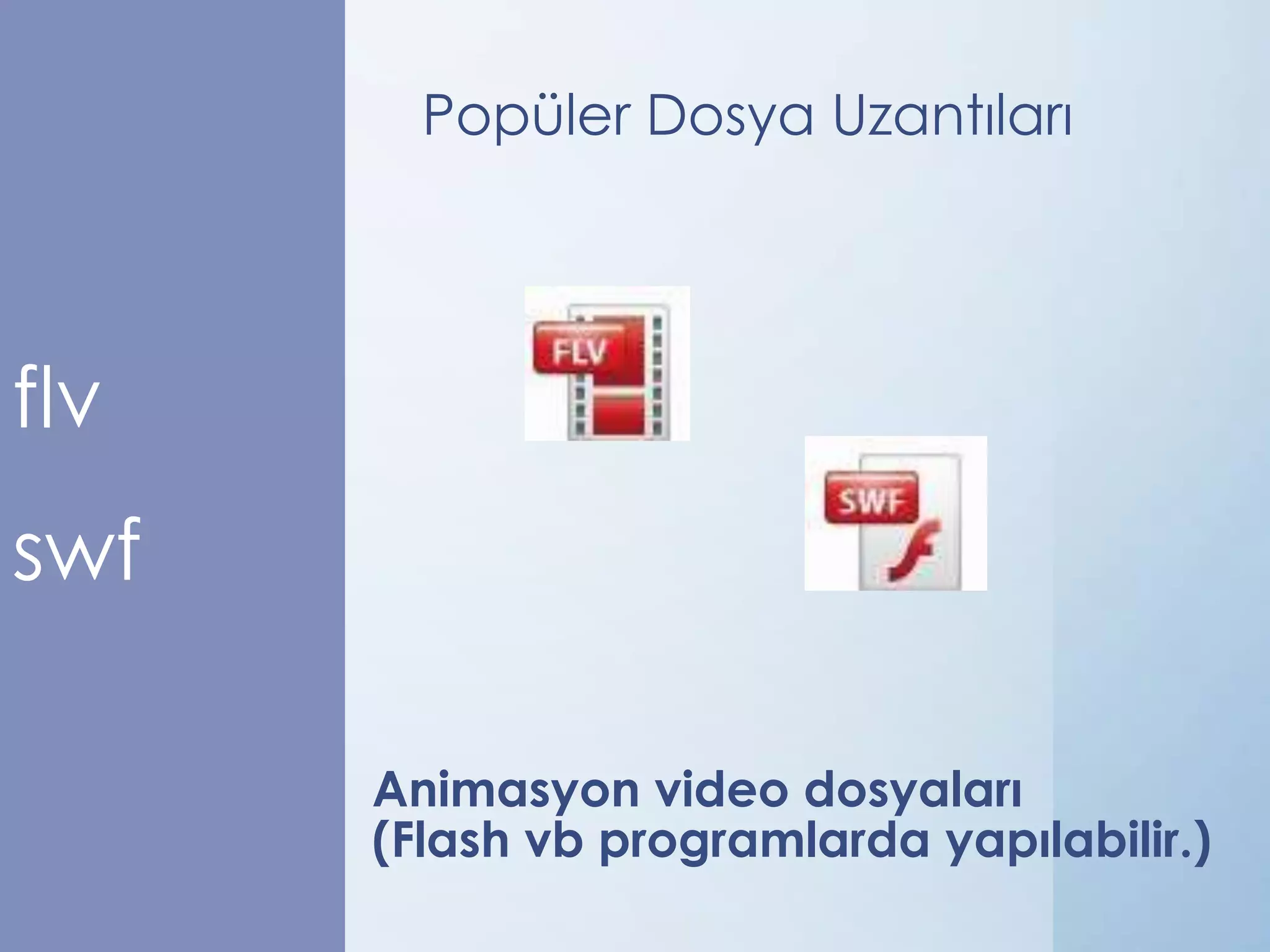 Popüler Dosya Uzantıları

flv
swf
Animasyon video dosyaları
(Flash vb programlarda yapılabilir.)

 