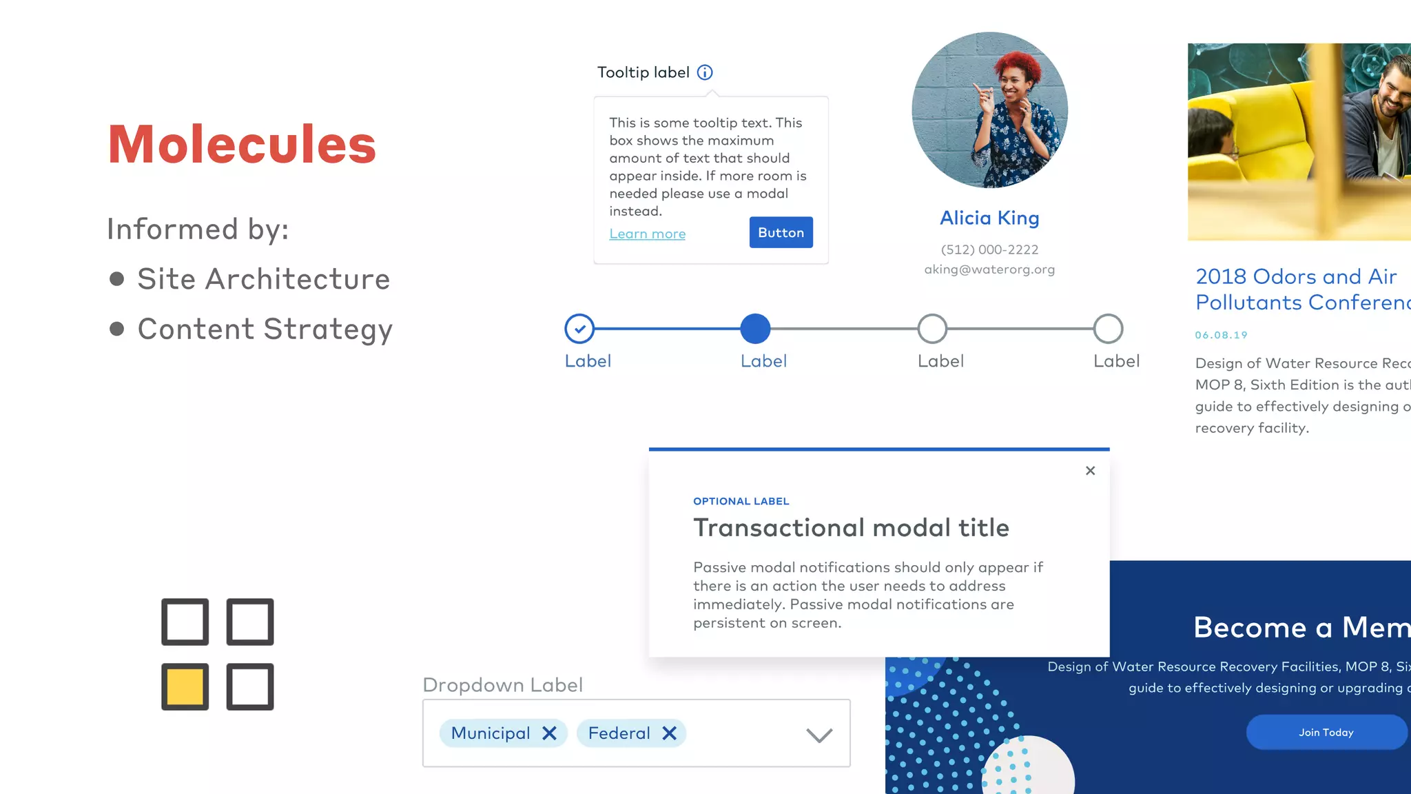 Molecules
Informed by:
• Site Architecture
• Content Strategy
 