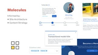 Molecules
Informed by:
• Site Architecture
• Content Strategy
 