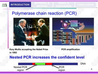 nested pcr detecting gmo | PPT | Chemistry | Science
