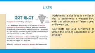 USES
Performing a dot blot is similar in
idea to performing a western blot,
with the advantage of faster speed
and lower cost.
Dot blots are also performed to
screen the binding capabilities of an
antibody
 
