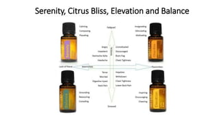 Serenity, Citrus Bliss, Elevation and Balance
 