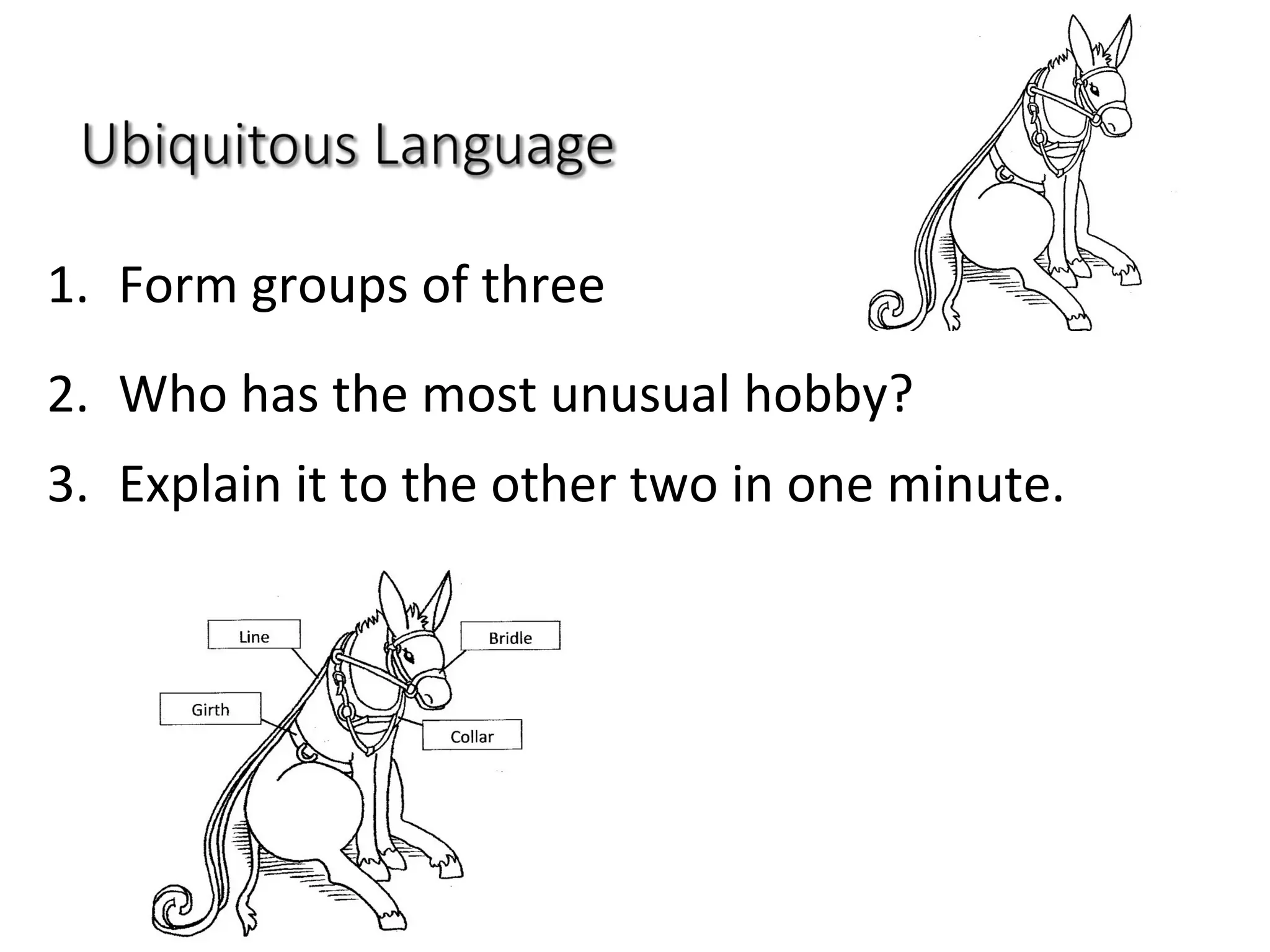 1.  Form	
  groups	
  of	
  three	
  
2.  Who	
  has	
  the	
  most	
  unusual	
  hobby?	
  	
  
3.  Explain	
  it	
  to	
  the	
  other	
  two	
  in	
  one	
  minute.	
  	
  
 