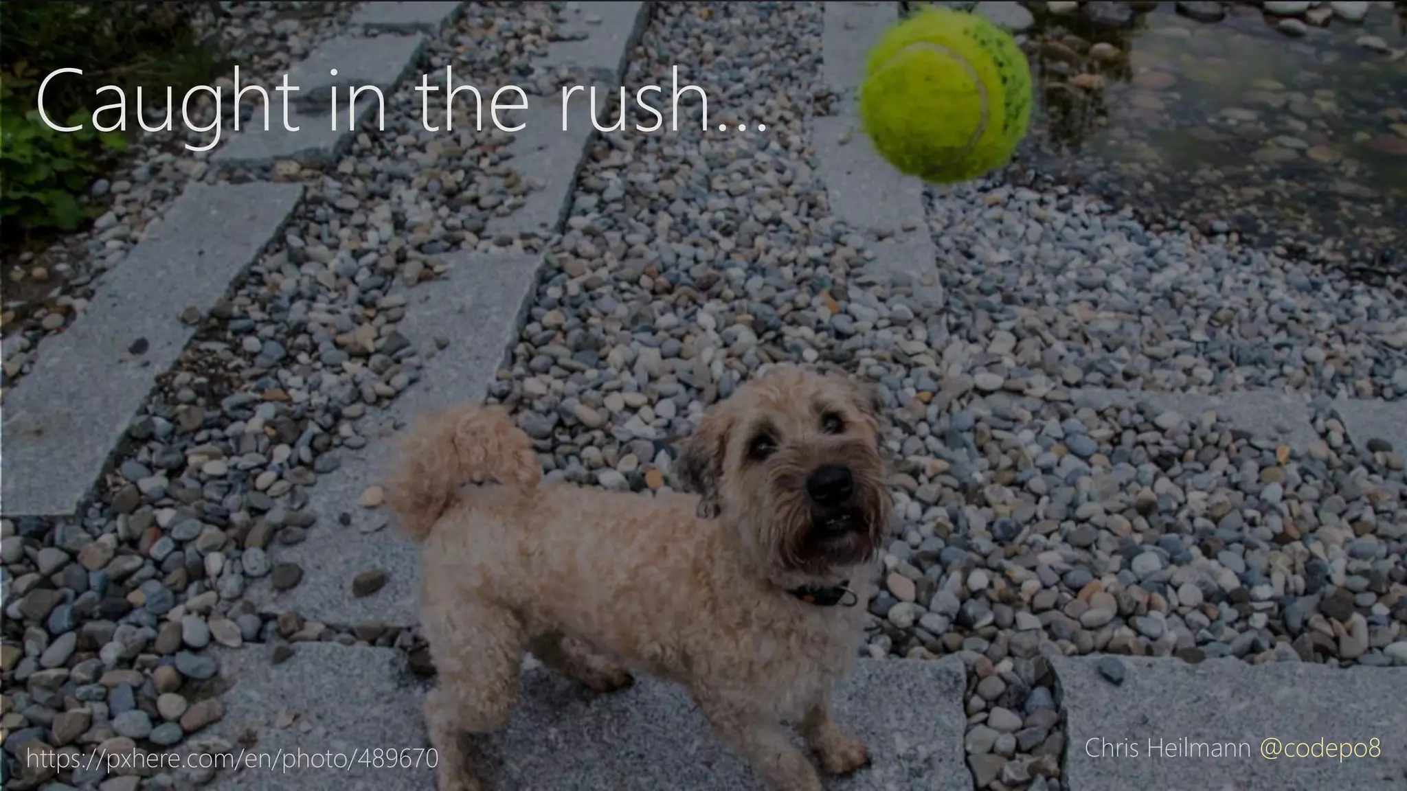 Caught in the rush…
Chris Heilmann @codepo8https://pxhere.com/en/photo/489670
 