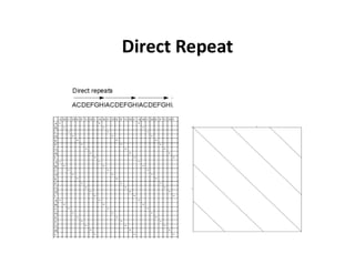 Direct Repeat
 