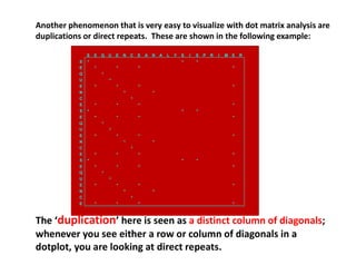 S E Q U E N C E A N A L Y S I S P R I M E R
S • • •
E • • • •
Q •
U •
E • • • •
N • •
C •
E • • • •
S • • •
E • • • •
Q •
U •
E • • • •
N • •
C •
E • • • •
S • • •
E • • • •
Q •
U •
E • • • •
N • •
C •
E • • • •
Another phenomenon that is very easy to visualize with dot matrix analysis are
duplications or direct repeats. These are shown in the following example:
The ‘duplication’ here is seen as a distinct column of diagonals;
whenever you see either a row or column of diagonals in a
dotplot, you are looking at direct repeats.
 