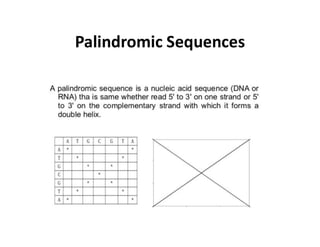 Palindromic Sequences
 