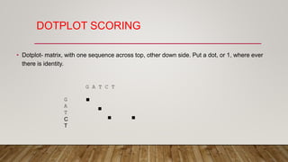 DOTPLOT SCORING
• Dotplot- matrix, with one sequence across top, other down side. Put a dot, or 1, where ever
there is identity.
G A T C T
G
A
T
C
T
... .
 