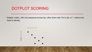 DOTPLOT SCORING
• Dotplot- matrix, with one sequence across top, other down side. Put a dot, or 1, where ever
there is identity.
G A T C T
G
A
T
C
T
... ... .
 