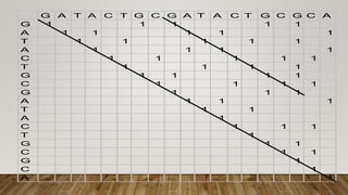 G A T A C T G C G A T A C T G C G C A
G 1 1 1 1 1
A 1 1 1 1 1
T 1 1 1 1 1
A 1 1 1 1
C 1 1 1 1 1
T 1 1 1 1
G 1 1 1 1
C 1 1 1 1
G 1 1 1
A 1 1 1
T 1 1
A 1
C 1 1 1
T 1
G 1 1
C 1 1
G 1
C 1
A 1
 