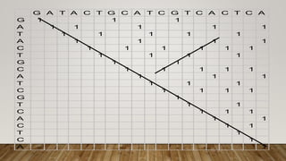 G A T A C T G C A T C G T C A C T C A
G 1 1 1
A 1 1 1 1 1
T 1 1 1 1 1
A 1 1 1 1
C 1 1 1 1 1 1
T 1 1 1 1
G 1 1
C 1 1 1 1 1
A 1 1 1
T 1 1 1
C 1 1 1 1
G 1
T 1 1
C 1 1 1
A 1 1
C 1 1
T 1
C 1
A 1
 