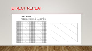 DIRECT REPEAT
 