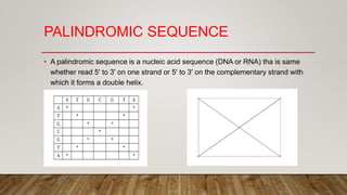 PALINDROMIC SEQUENCE
• A palindromic sequence is a nucleic acid sequence (DNA or RNA) tha is same
whether read 5' to 3' on one strand or 5' to 3' on the complementary strand with
which it forms a double helix.
 