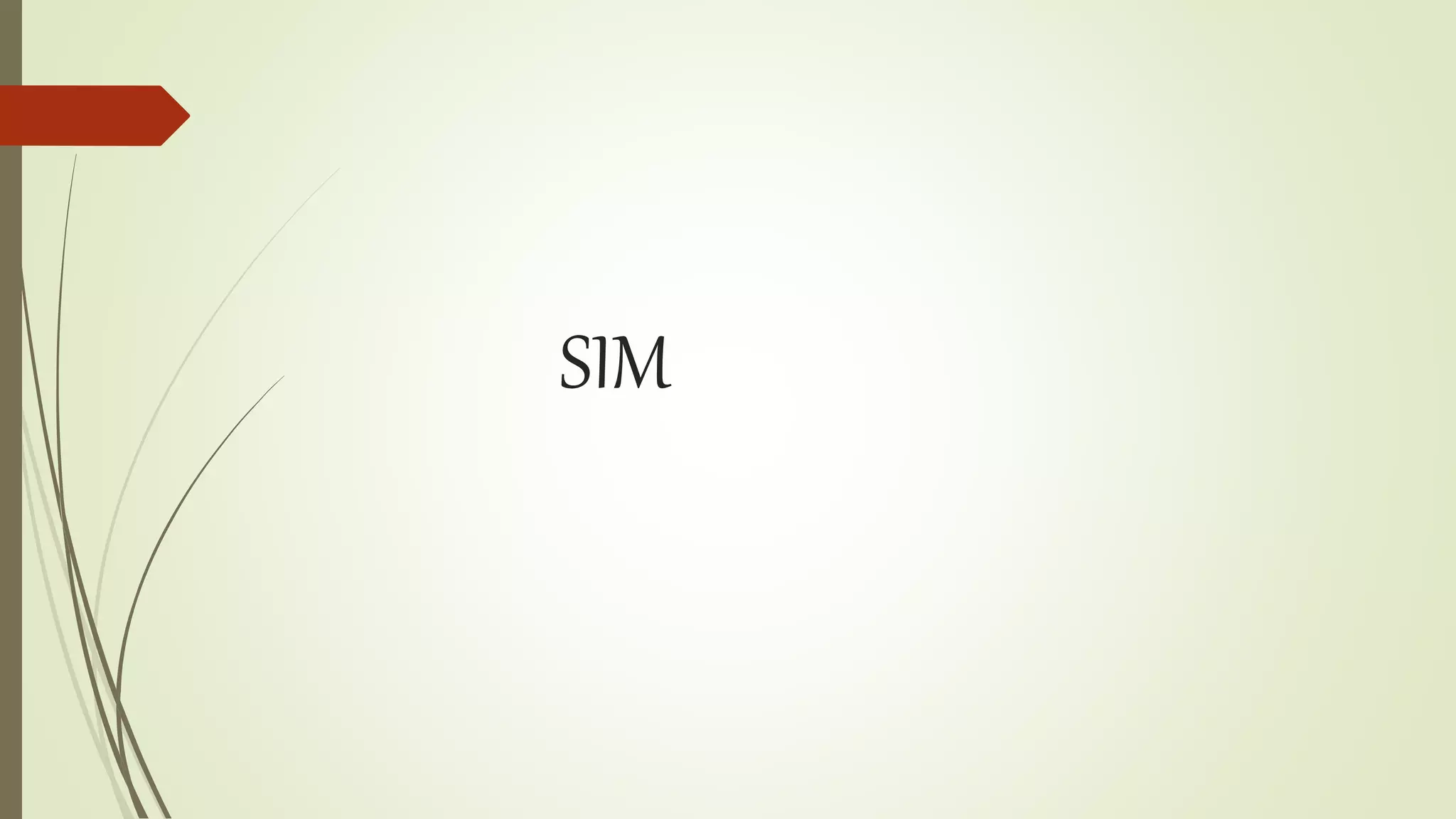 SIM
 