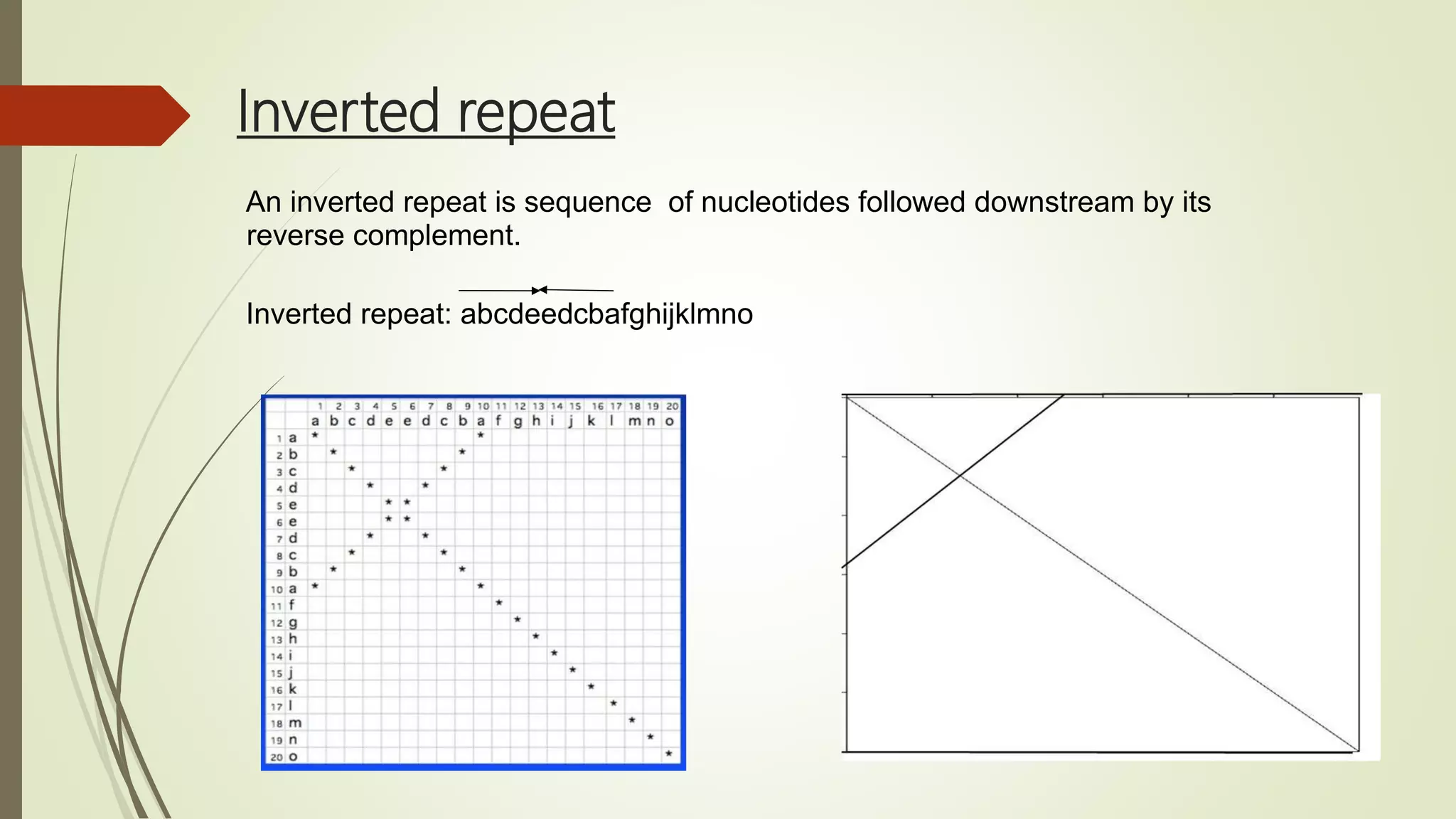 Inverted repeat
An inverted repeat is sequence of nucleotides followed downstream by its
reverse complement.
Inverted repeat: abcdeedcbafghijklmno
 