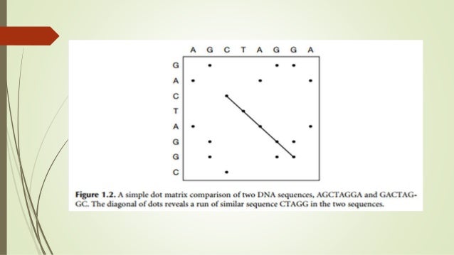 Dot matrix Analysis Tools (Bioinformatics)