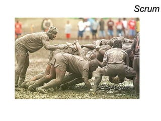 ScrumScrum
 