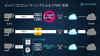 エッジ・コンピューティングによる LPWA 活用
マイコン
AI
動画など
カメラ
動画など
クラウド
データ量が
見合わない
エッジで判定
結果のみを
送信
動画など
 