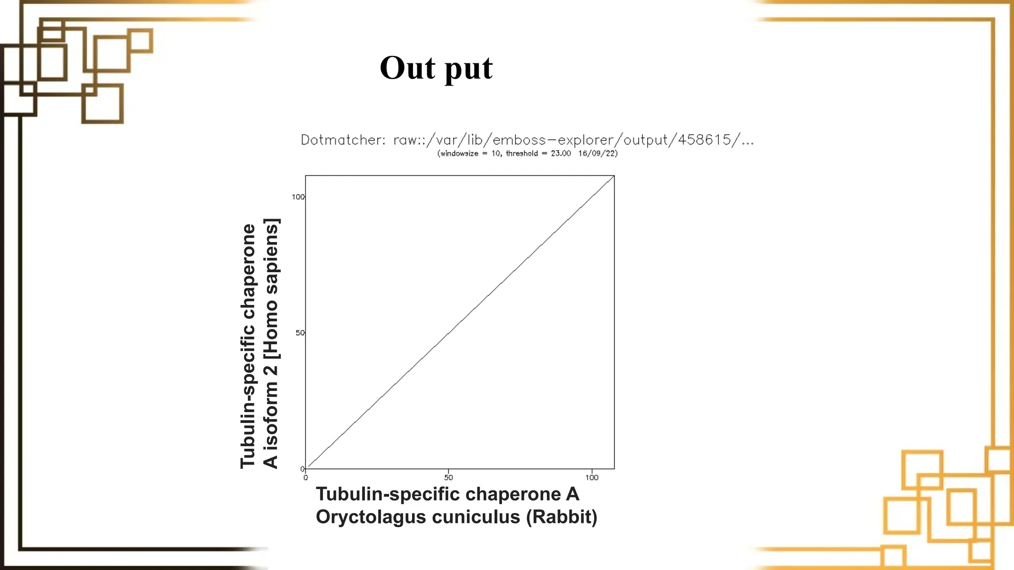Out put
Tubulin-specific
chaperone
A
isoform
2
[Homo
sapiens]
Tubulin-specific chaperone A
Oryctolagus cuniculus (Rabbit)
 