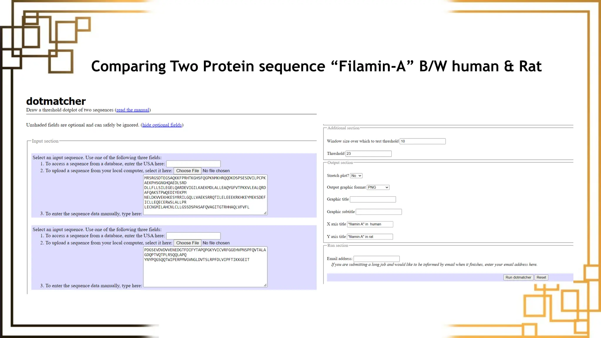 Comparing Two Protein sequence “Filamin-A” B/W human & Rat
 