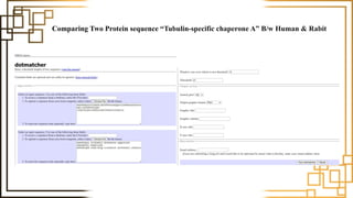 Comparing Two Protein sequence “Tubulin-specific chaperone A” B/w Human & Rabit
 
