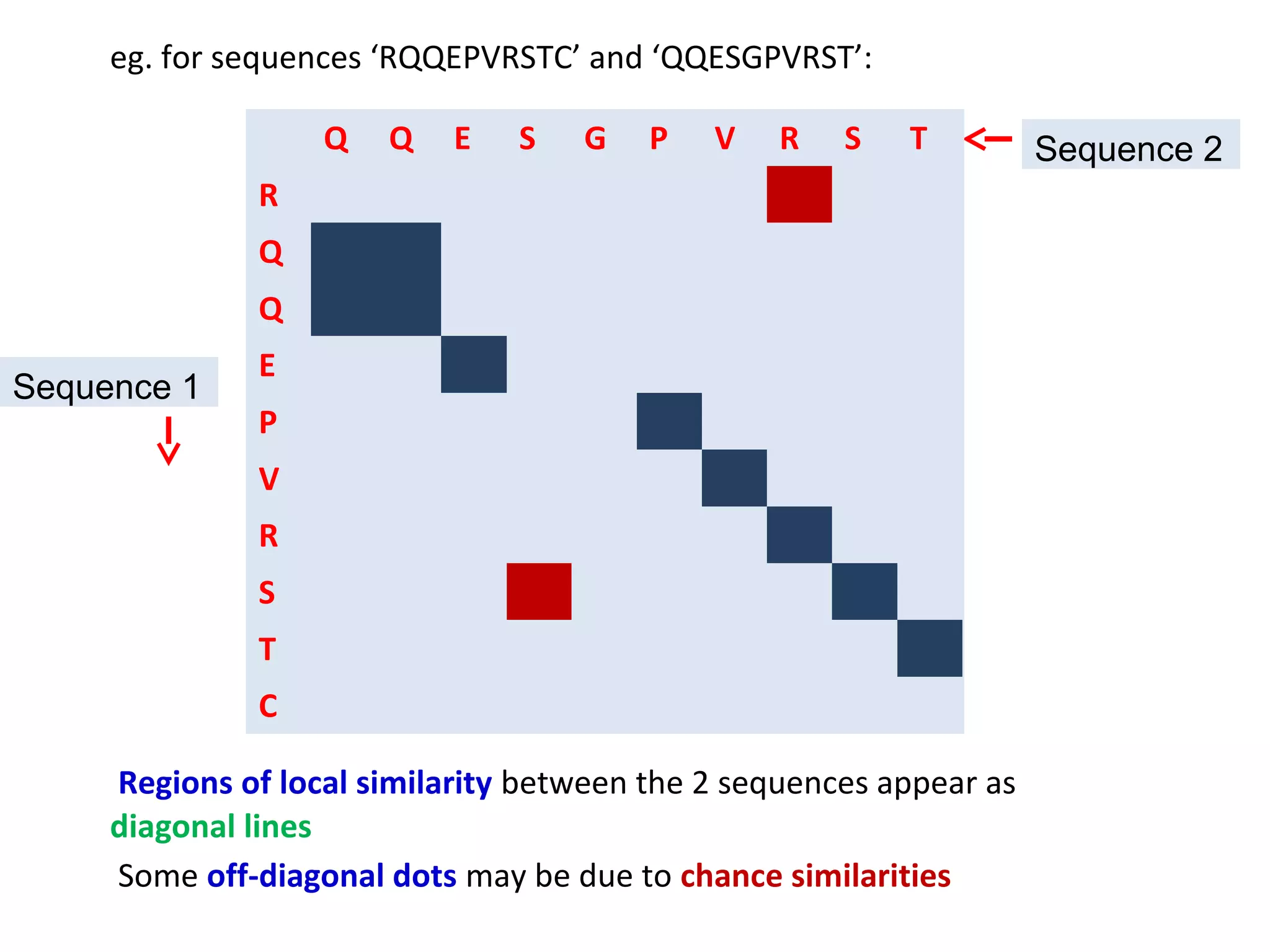 eg. for sequences ‘RQQEPVRSTC’ and ‘QQESGPVRST’:

                   Q   Q    E   S   G    P   V    R   S   T          Sequence 2
               R
               Q
               Q
               E
Sequence 1
               P
               V
               R
               S
               T
               C

     Regions of local similarity between the 2 sequences appear as
     diagonal lines
     Some off-diagonal dots may be due to chance similarities
 