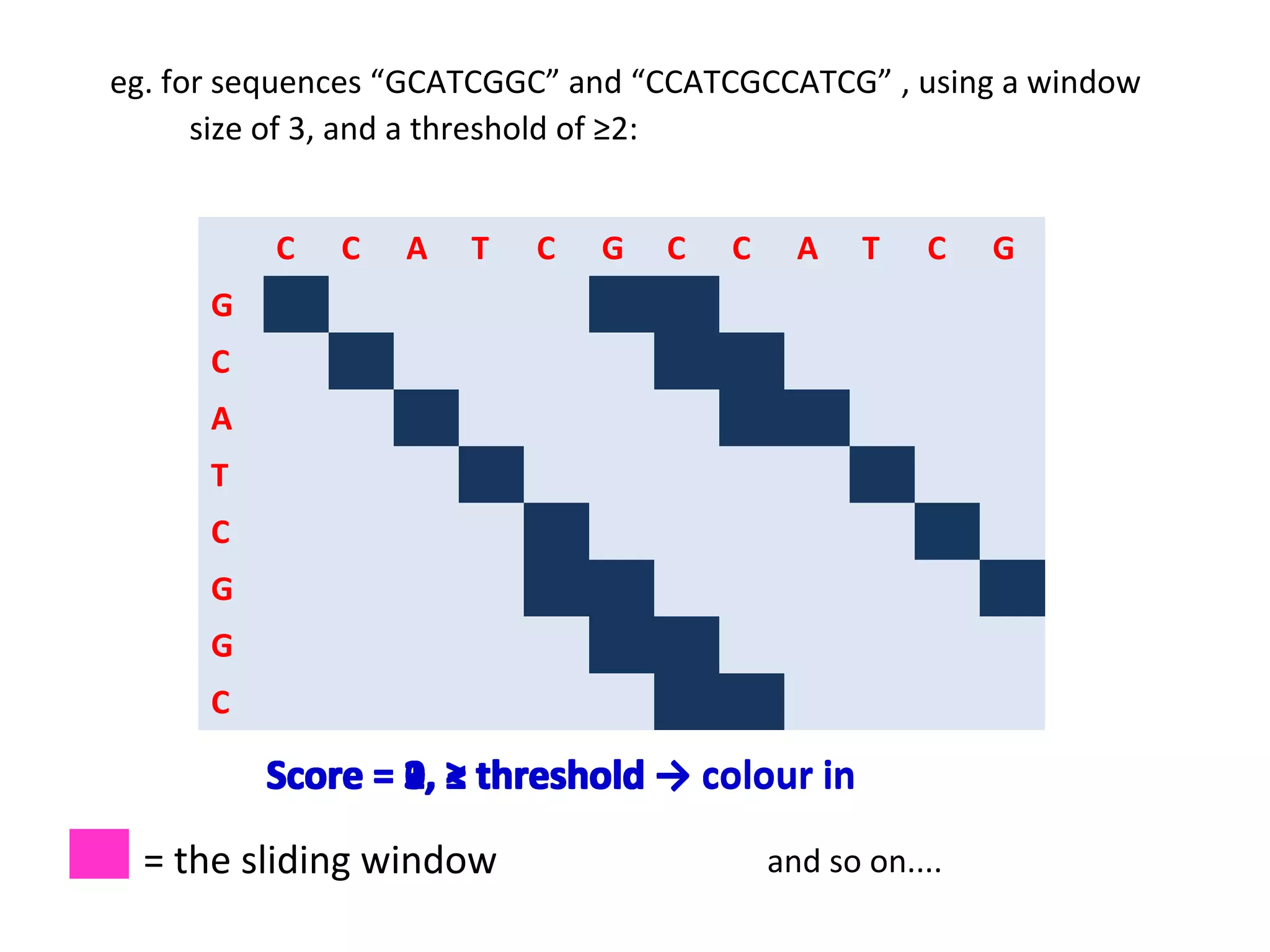 eg. for sequences “GCATCGGC” and “CCATCGCCATCG” , using a window
      size of 3, and a threshold of ≥2:


          C   C   A   T   C   G   C   C     A    T   C    G
      G
      C
      A
      T
      C
      G
      G
      C

          Score = 2, ≥ threshold → colour in
                  3, <
                  0,
                  1,

  = the sliding window                    and so on....
 