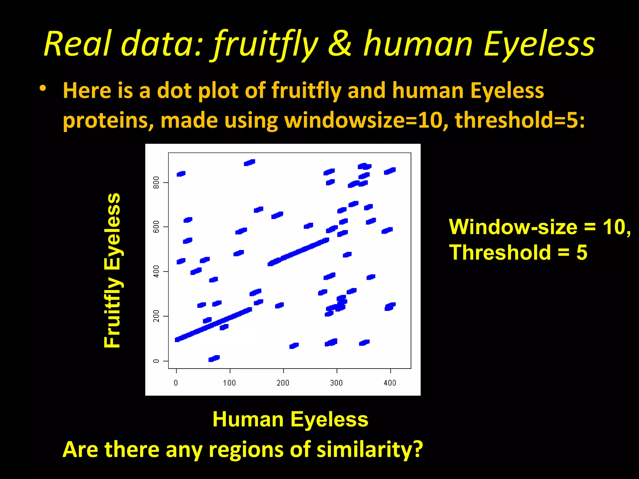 Real data: fruitfly & human Eyeless
• Here is a dot plot of fruitfly and human Eyeless
  proteins, made using windowsize=10, threshold=5:
     Fruitfly Eyeless




                                         Window-size = 10,
                                         Threshold = 5




                        Human Eyeless
  Are there any regions of similarity?
 