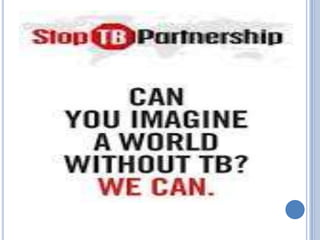 THE STOP TB PARTNERSHIP
 