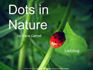 Dots in
Nature
 by Diane Cordell



                                                                                     Ladybug



     “A Polka-dotted Someone” by dmcordell http://www.flickr.com/photos/dmcordell/7310609252/
 