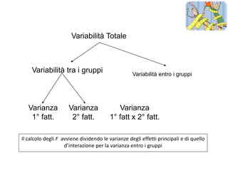 Variabilità Totale



    Variabilità tra i gruppi                       Variabilità entro i gruppi




   Varianza          Varianza              Varianza
    1° fatt.          2° fatt.          1° fatt x 2° fatt.

Il calcolo degli F avviene dividendo le varianze degli effetti principali e di quello
                    d’interazione per la varianza entro i gruppi
 