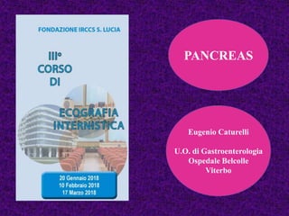 PANCREAS
Eugenio Caturelli
U.O. di Gastroenterologia
Ospedale Belcolle
Viterbo
 