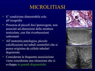 MICROLITIASI
• E’ condizione dimostrabile solo
all’ecografia
• Presenza di piccoli foci iperecogeni, non
associati ad alterazioni della struttura
testicolare, con fini riverberazioni
sottostanti
• All’anatomia patologica, piccole
calcificazioni nei tubuli seminiferi che si
pensa originino da cellule tubulari
degenerate
• Considerata la frequente associazione
viene considerata una situazione che si
sviluppa in gonadi disgenetiche
 