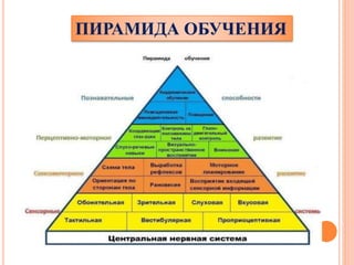 ПИРАМИДА ОБУЧЕНИЯ
 