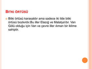 Bölge akarsularının hidroelektrik enerji potansiyeli yüksektir. Bunun nedeni; yükselti ve eğimlerinin fazla olmasıdır.
