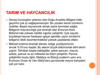 NÜFÜS VE YERLEŞME]Türkiye'nin nüfus yoğunluğu en az olan bölgemizdir. Bunda bölgenin yüz ölçümünün büyük olması başlıca etkendir. 2000 yılındaki nüfus sayımına göre bölgenin nüfusu 6 milyon 100 bin kişi civarındadır.Türkiye’deki coğrafi bölgeler arasında nüfus miktarı ve yoğunluğu yönünden önemli farklar bulunmaktadır. Bu farkların oluşmasında fiziki faktörler (iklim özellikleri, yer şekilleri, toprak özellikleri) ve beşeri faktörler (sanayileşme, tarım, yeraltı kaynakları, turizm, ulaşım) önemli rol oynarlar.Bölge'nin en kalabalık kenti Malatya'dır. 2008 yılı adrese dayalı nüfus kayıt sistemine göre 462.569 nüfusludur.İkinci kalabalık kent 383.168 nüfuslu Erzurum kentidir.Üçüncü sırada 352.163 nüfuslu Van ve 325.574 nüfuslu Elazığ izlemektedir.Diğer kentlerin nüfusu 100 binin altındadır.Diğer bölgelere göçün fazla yaşandığı bölge olan Doğu Anadolu Bölgesi'nde kırsal nüfus kent nüfusundan fazladır.Bazı İllerin Nüfus Artışı (1990-2000 arası)Van %43,03Ağrı %19,03Erzurum %10,52Erzincan %5,38Bingöl %2,51Kars -%8,43