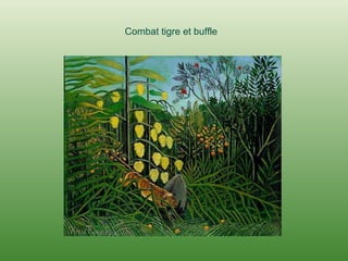 Combat tigre et buffle 
