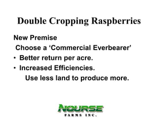 Double Cropping Raspberries
New Premise
 Choose a ‘Commercial Everbearer’
• Better return per acre.
• Increased Efficiencies.
    Use less land to produce more.
 