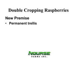 Double Cropping Raspberries
New Premise
• Permanent trellis
 