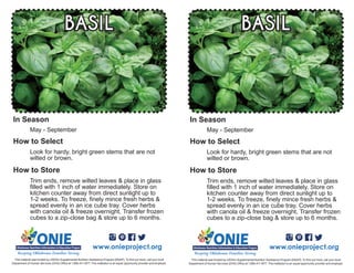 May - September
Look for hardy, bright green stems that are not
wilted or brown.
BASIL
Trim ends, remove wilted leaves & place in glass
filled with 1 inch of water immediately. Store on
kitchen counter away from direct sunlight up to
1-2 weeks. To freeze, finely mince fresh herbs &
spread evenly in an ice cube tray. Cover herbs
with canola oil & freeze overnight. Transfer frozen
cubes to a zip-close bag & store up to 6 months.
www.onieproject.org
This material was funded by USDA’s Supplemental Nutrition Assistance Program [SNAP]. To find out more, call your local
Department of Human Services (DHS) Office at 1.866.411.1877. This institution is an equal opportunity provider and employer.
In Season
How to Select
How to Store
May - September
Look for hardy, bright green stems that are not
wilted or brown.
BASIL
Trim ends, remove wilted leaves & place in glass
filled with 1 inch of water immediately. Store on
kitchen counter away from direct sunlight up to
1-2 weeks. To freeze, finely mince fresh herbs &
spread evenly in an ice cube tray. Cover herbs
with canola oil & freeze overnight. Transfer frozen
cubes to a zip-close bag & store up to 6 months.
www.onieproject.org
This material was funded by USDA’s Supplemental Nutrition Assistance Program [SNAP]. To find out more, call your local
Department of Human Services (DHS) Office at 1.866.411.1877. This institution is an equal opportunity provider and employer.
In Season
How to Select
How to Store
 