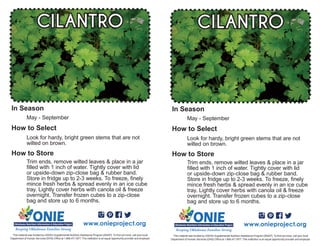 May - September
Look for hardy, bright green stems that are not
wilted on brown.
CILANTRO
Trim ends, remove wilted leaves & place in a jar
filled with 1 inch of water. Tightly cover with lid
or upside-down zip-close bag & rubber band.
Store in fridge up to 2-3 weeks. To freeze, finely
mince fresh herbs & spread evenly in an ice cube
tray. Lightly cover herbs with canola oil & freeze
overnight. Transfer frozen cubes to a zip-close
bag and store up to 6 months.
www.onieproject.org
This material was funded by USDA’s Supplemental Nutrition Assistance Program [SNAP]. To find out more, call your local
Department of Human Services (DHS) Office at 1.866.411.1877. This institution is an equal opportunity provider and employer.
In Season
How to Select
How to Store
May - September
Look for hardy, bright green stems that are not
wilted on brown.
CILANTRO
Trim ends, remove wilted leaves & place in a jar
filled with 1 inch of water. Tightly cover with lid
or upside-down zip-close bag & rubber band.
Store in fridge up to 2-3 weeks. To freeze, finely
mince fresh herbs & spread evenly in an ice cube
tray. Lightly cover herbs with canola oil & freeze
overnight. Transfer frozen cubes to a zip-close
bag and store up to 6 months.
www.onieproject.org
This material was funded by USDA’s Supplemental Nutrition Assistance Program [SNAP]. To find out more, call your local
Department of Human Services (DHS) Office at 1.866.411.1877. This institution is an equal opportunity provider and employer.
In Season
How to Select
How to Store
 
