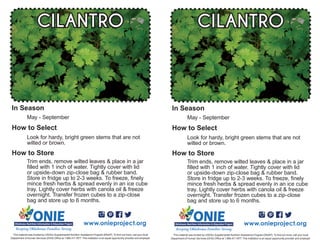 May - September
Look for hardy, bright green stems that are not
wilted or brown.
CILANTRO
Trim ends, remove wilted leaves & place in a jar
filled with 1 inch of water. Tightly cover with lid
or upside-down zip-close bag & rubber band.
Store in fridge up to 2-3 weeks. To freeze, finely
mince fresh herbs & spread evenly in an ice cube
tray. Lightly cover herbs with canola oil & freeze
overnight. Transfer frozen cubes to a zip-close
bag and store up to 6 months.
www.onieproject.org
This material was funded by USDA’s Supplemental Nutrition Assistance Program [SNAP]. To find out more, call your local
Department of Human Services (DHS) Office at 1.866.411.1877. This institution is an equal opportunity provider and employer.
In Season
How to Select
How to Store
May - September
Look for hardy, bright green stems that are not
wilted or brown.
CILANTRO
Trim ends, remove wilted leaves & place in a jar
filled with 1 inch of water. Tightly cover with lid
or upside-down zip-close bag & rubber band.
Store in fridge up to 2-3 weeks. To freeze, finely
mince fresh herbs & spread evenly in an ice cube
tray. Lightly cover herbs with canola oil & freeze
overnight. Transfer frozen cubes to a zip-close
bag and store up to 6 months.
www.onieproject.org
This material was funded by USDA’s Supplemental Nutrition Assistance Program [SNAP]. To find out more, call your local
Department of Human Services (DHS) Office at 1.866.411.1877. This institution is an equal opportunity provider and employer.
In Season
How to Select
How to Store
 