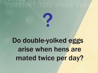 Do double-yolked eggs
 arise when hens are
 mated twice per day?
 