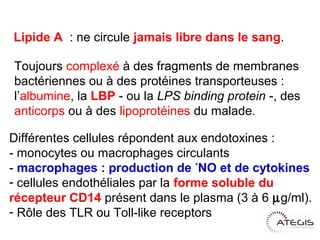 Lipide A : ne circule jamais libre dans le sang.

Toujours complexé à des fragments de membranes
bactériennes ou à des protéines transporteuses :
l’albumine, la LBP -oula LPS binding protein -, des
anticorps ou à des lipoprotéines du malade.

Différentes cellules répondent aux endotoxines :
- monocytes ou macrophages circulants
- macrophages : production de °NO et de cytokines
- cellules endothéliales par la forme solubledu
récepteur CD14 présent dans le plasma (3 à 6 g/ml).
- Rôle des TLR ou Toll-like receptors
 