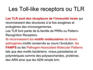Les Toll-like receptors ou TLR
Les TLR sont des récepteurs de l’immunité innée qui
reconnaissent des structures à la fois exogènes et
endogènes des microorganismes.
Les TLR font partie de la famille de PRRs ou Pattern-
Recognition Receptors.
Ils reconnaissent les motifs moléculaires de divers
pathogènes,motifsconservés au cours l’évolution, les
PAMPS ou les Pathogen-Associated Molecular Patterns
tels que des motifs bactériens, viraux,parasitaires et
polymériques comme des polysaccharides, protéines,
des ARN ainsi que les ADN simple brin.
 
